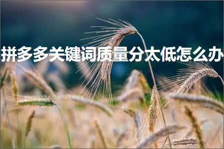 电商拼多多关键词质量分太低怎么办